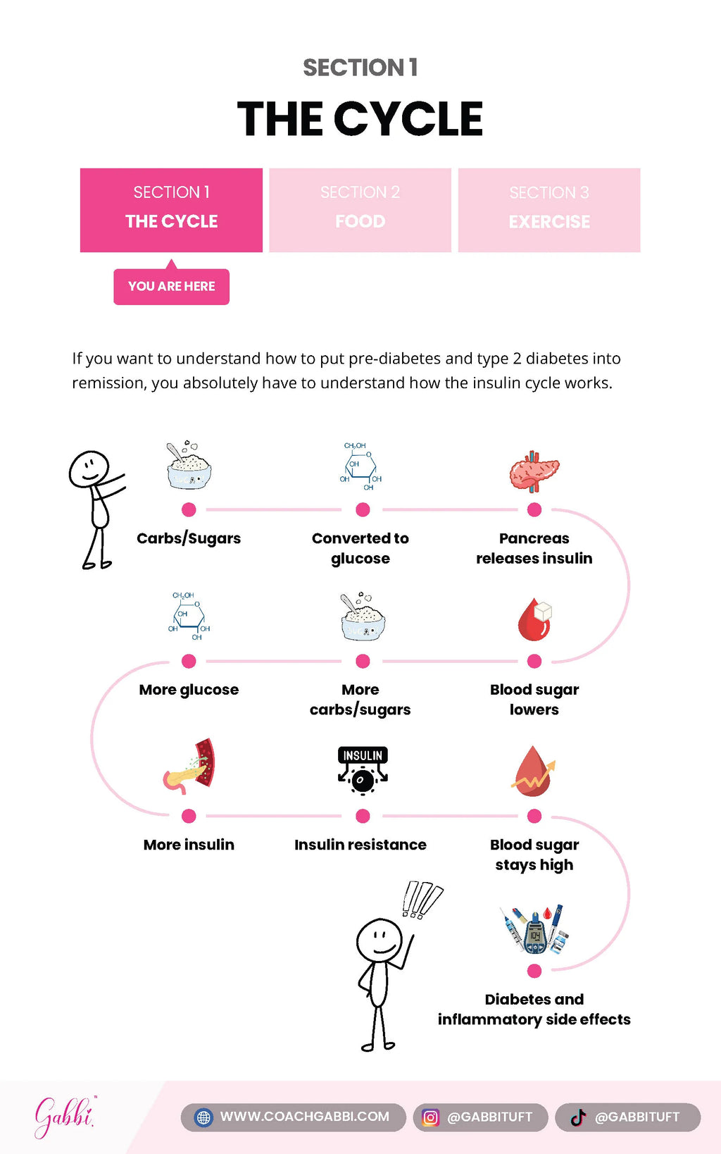 Diabetes Decoded Guide