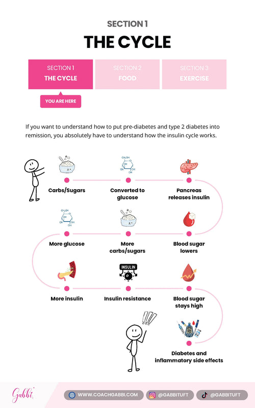 Diabetes Decoded Guide